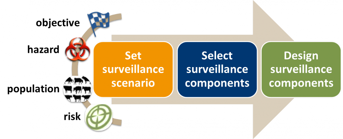 RISKSUR Surveillance Design Framework